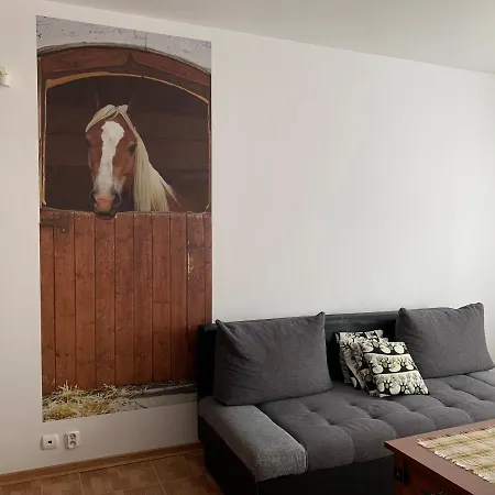 Zawsze Sloneczny Grzybowo Apartment Grzybowo (West Pomeranian)