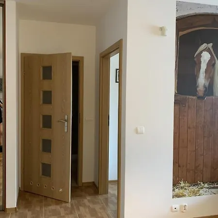 Apartment Zawsze Sloneczny Grzybowo *