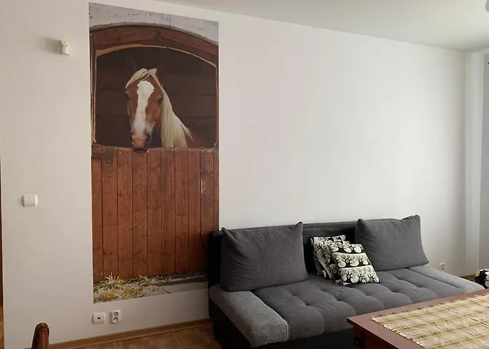 Zawsze Sloneczny Apartamento Grzybowo (West Pomeranian)